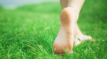 realyou store earthing