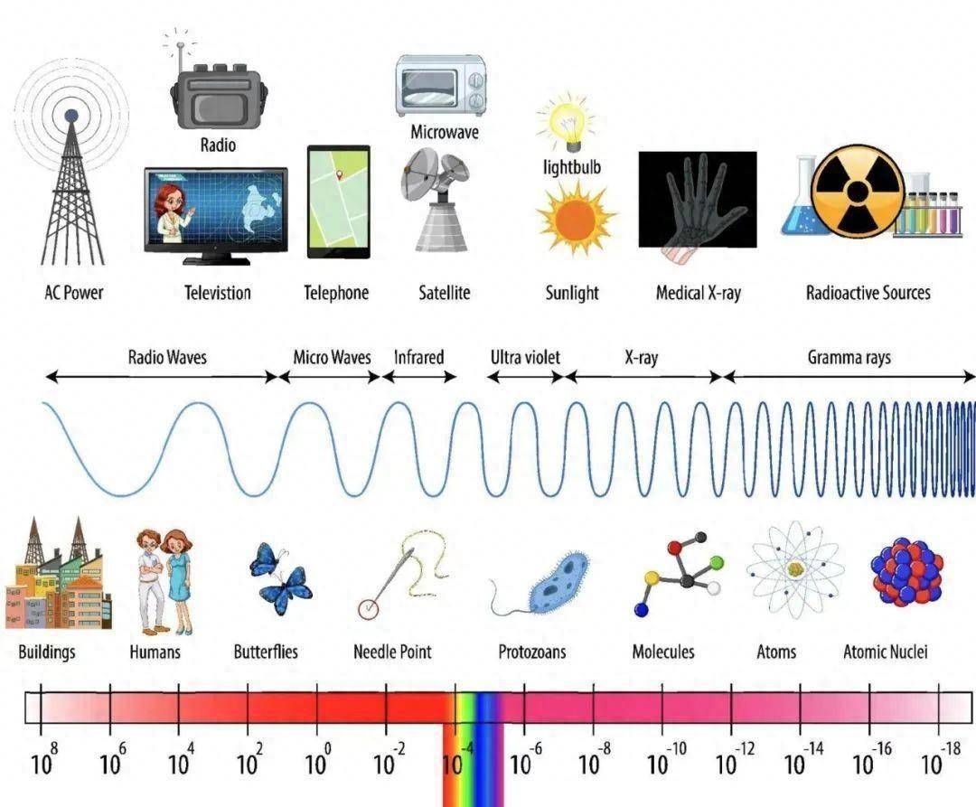 The Importance of Shielding: Protecting Your Safety, Information, and Health