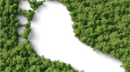 Frequently Asked Questions About Earthing
