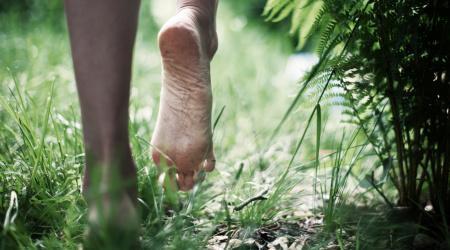 realyou store earthing