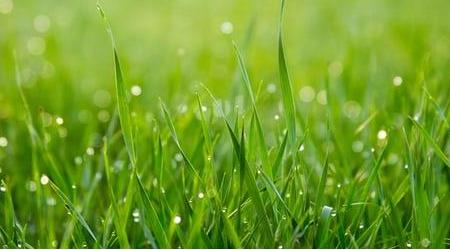 realyou store earthing