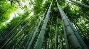 Benefits of Bamboo Pillowcase