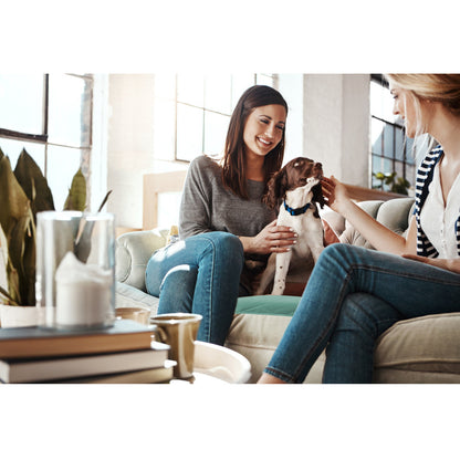 Non-Slip Dog Pads（20.8*33.8)  &（20.4*21.6）