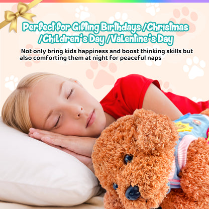 Montessori Teddy Toy