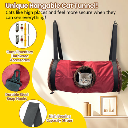 Cat Tunnel