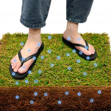 Earthing Shoes