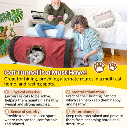 Cat Tunnel